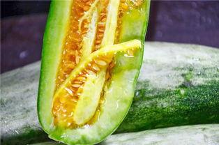 网红刘二萌吃瓜图片,趣味瞬间引网友热议  第2张